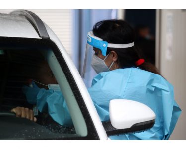 Cesio 137, controlli anche sui funghi