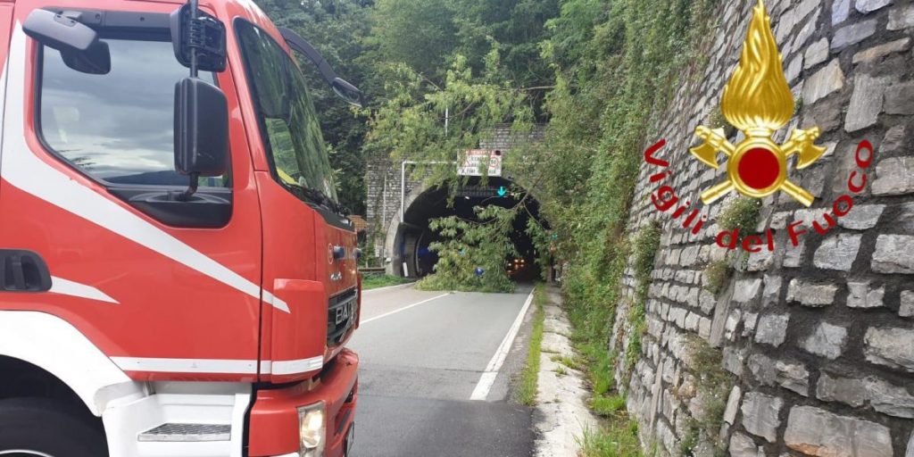 Cremia, rami sulla Regina: intervento dei vigili del fuoco