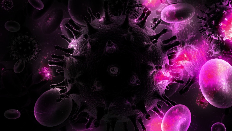 Hiv in provincia: 25 casi in 12 mesi. «Non bisogna abbassare la guardia»