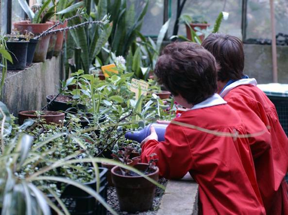 Dalla Regione contributi per gli orti nelle scuole