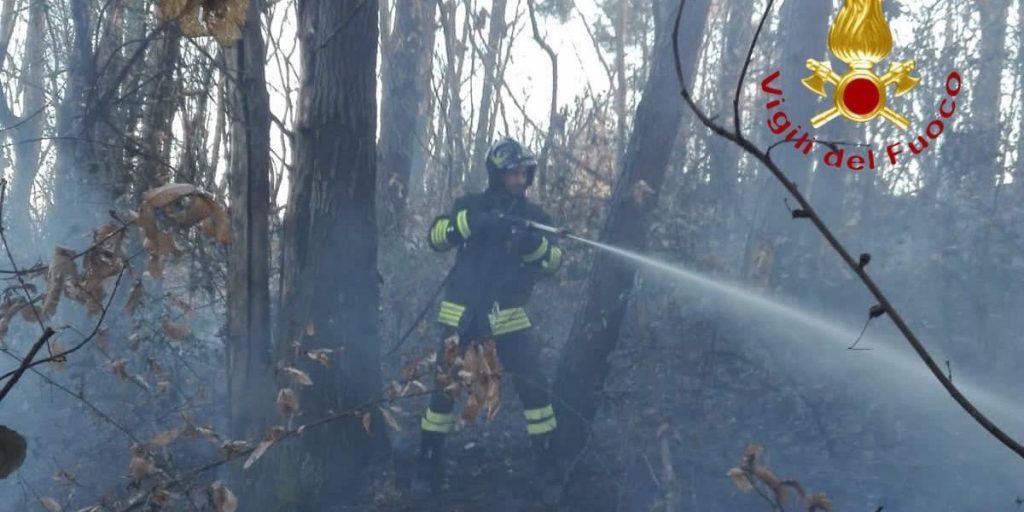 Fiamme nel bosco a Brenna: incendio spento dai vigili del fuoco