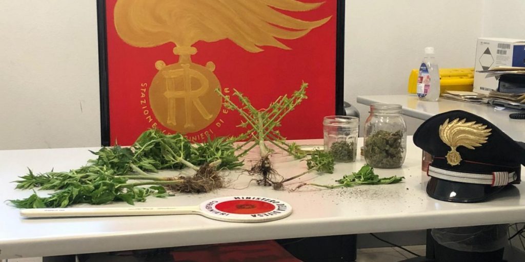 Erba: in casa ha mezzo chilo di “Kratom”, la droga con effetti simili all’eroina