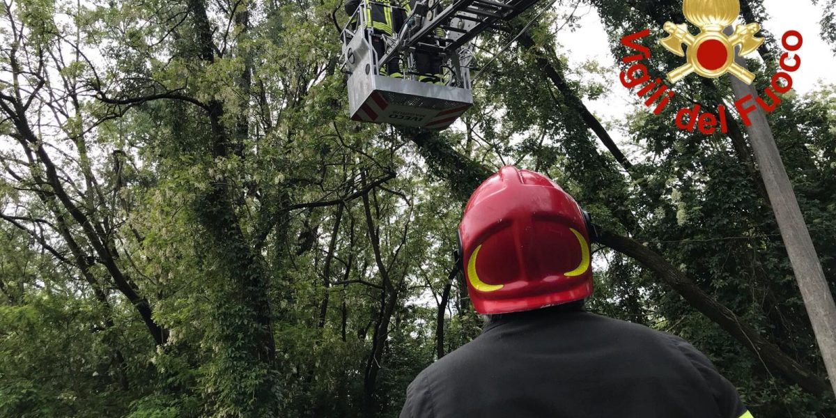 Alberi sui cavi dell’illuminazione di via Baraggia: strada chiusa per l’intervento