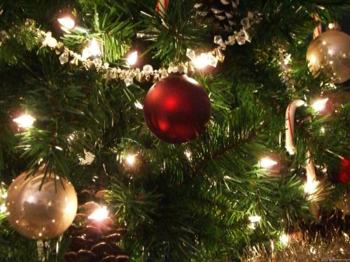 Alberi di Natale, Como seconda in Lombardia