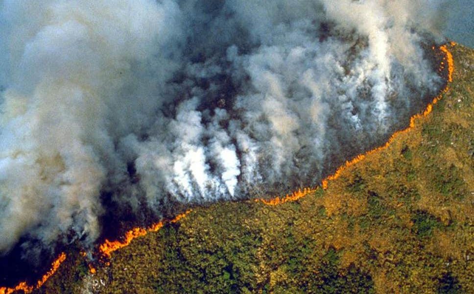 Amazzonia in fiamme, l’allarme dell’Università dell’Insubria