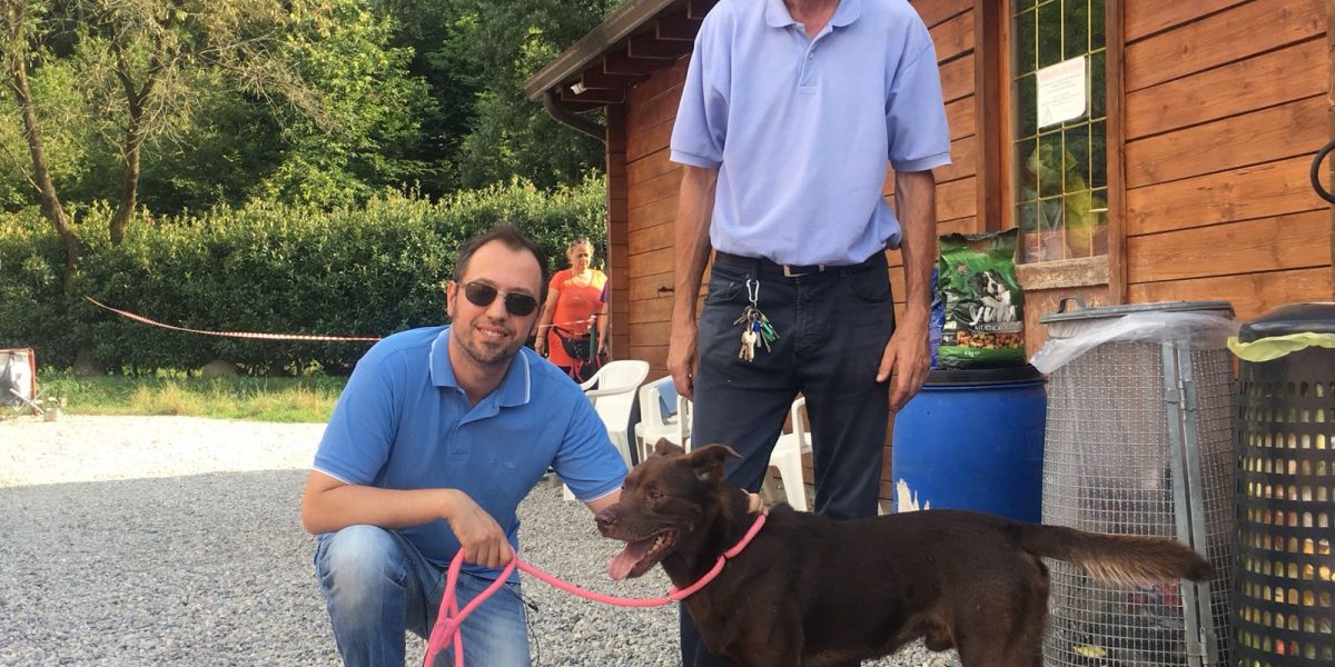 Comazzi visita il canile dopo l’incendio: “Risorse anche dalla Regione”
