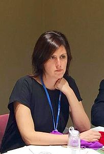 La deputata lariana del Pd Chiara Braga chiede chiarezza sulle opere comasche di Pedemontana
