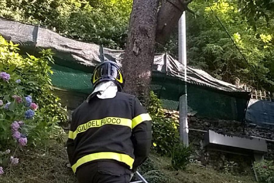 Incidente durante la potatura, due feriti