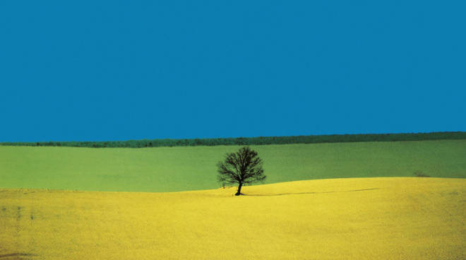 Franco Fontana, colore e anima