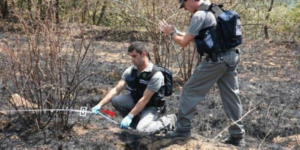 Allerta della Protezione Civile, codice rosso per gli incendi