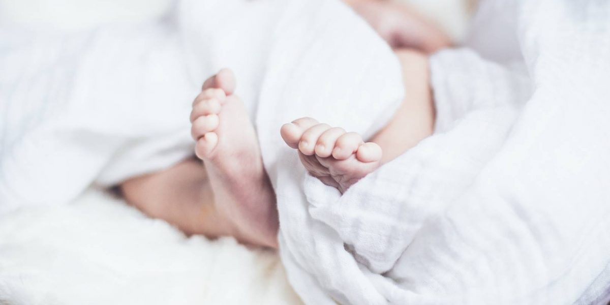 Bonus famiglia, dal 16 gennaio le domande online