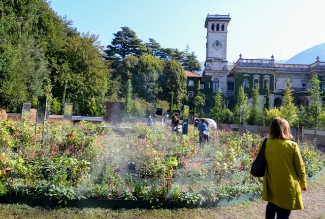 Orticolario 2019, parte il concorso