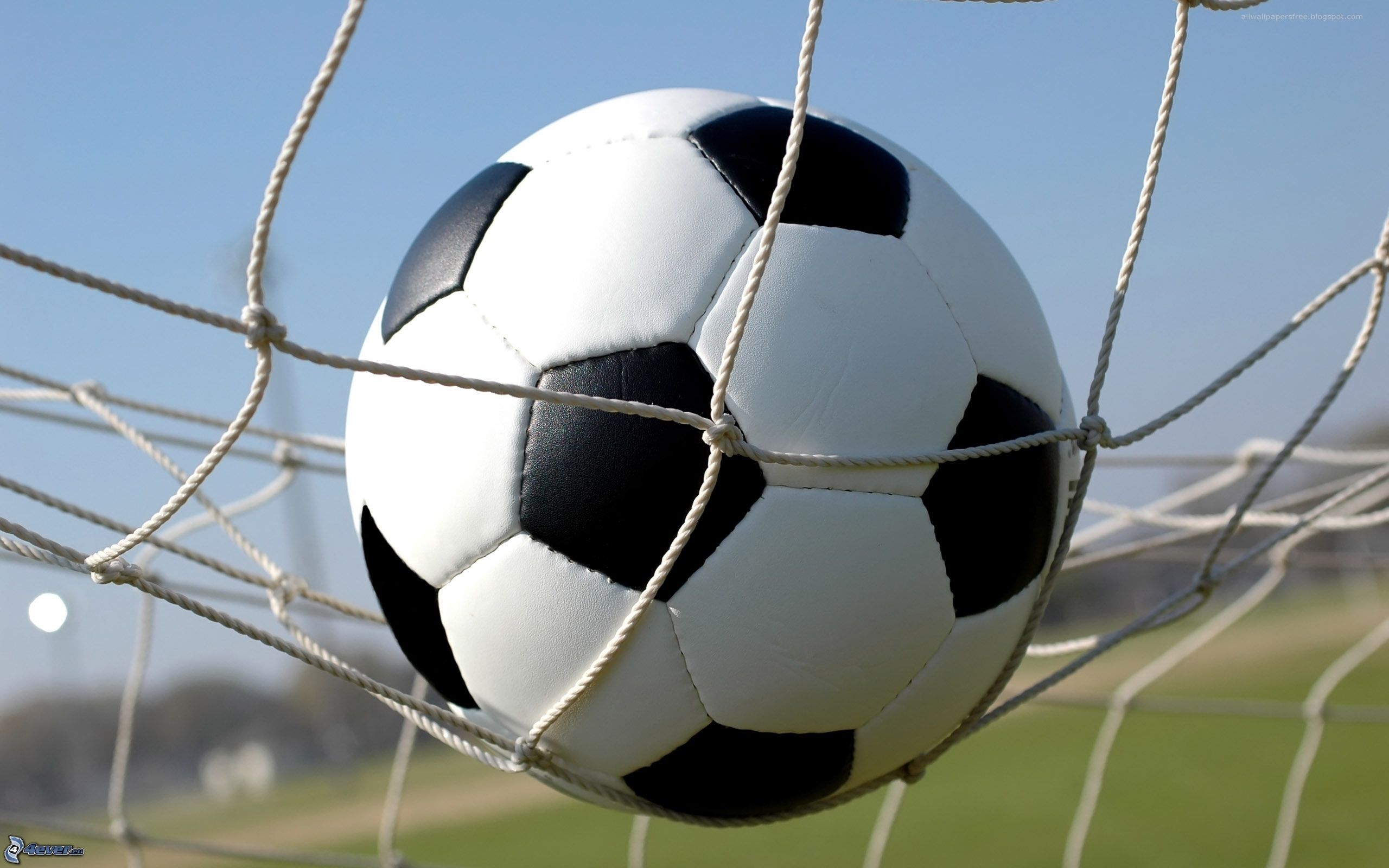 Indice di sportività: la provincia di Como al 57° posto in Italia
