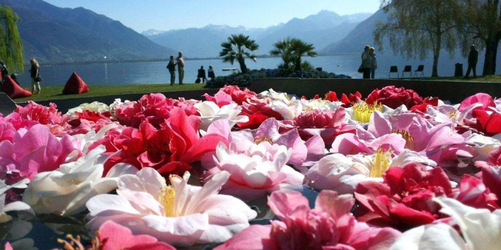 Locarno regina delle camelie dal 27 al 31 marzo