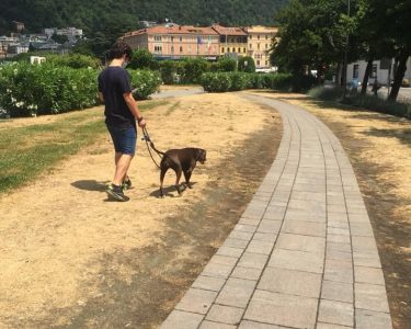 Molestie alle ex mogli, due arresti