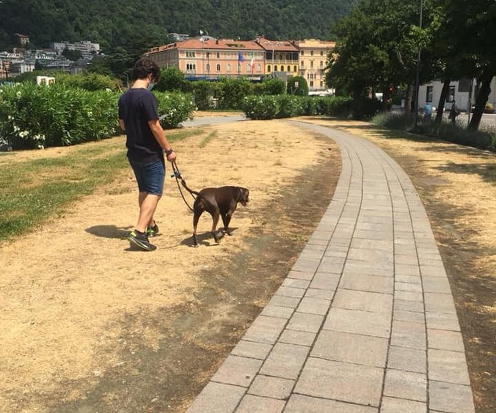 Passeggiata “gialla”, rubate le centraline di irrigazione