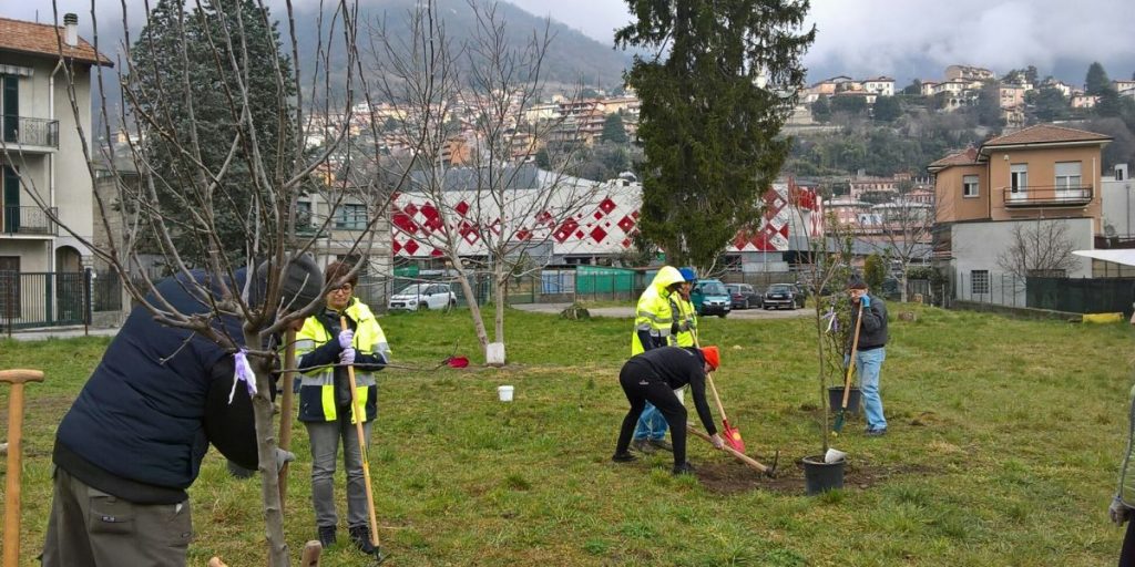 Lario più verde con i volontari di “Per Como Pulita”