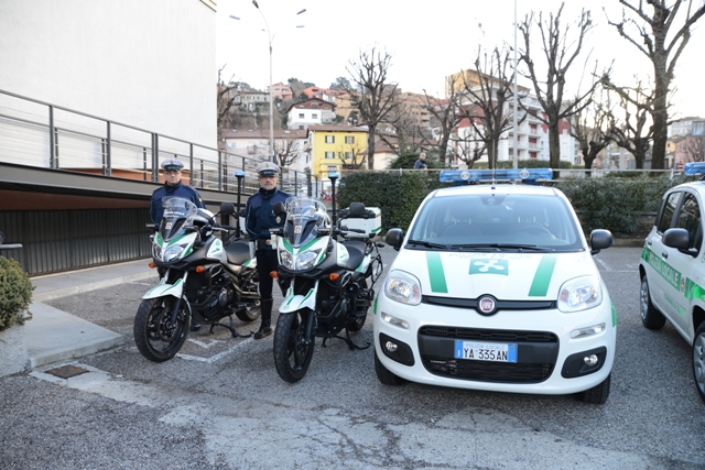 La Polizia locale di Como sequestra 6 conigli messi in vendita abusivamente