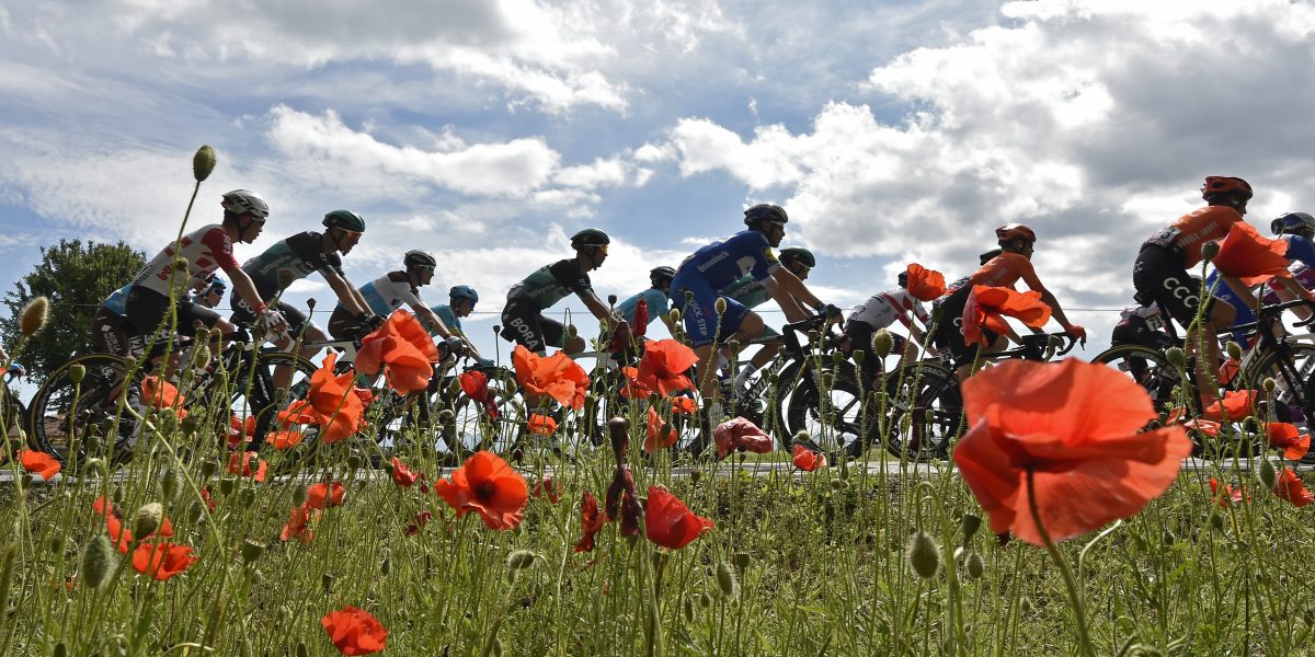 La  “Corsa rosa”  riparte con la Cuneo-Pinerolo. Il gruppo sulle strade  della leggenda di Coppi