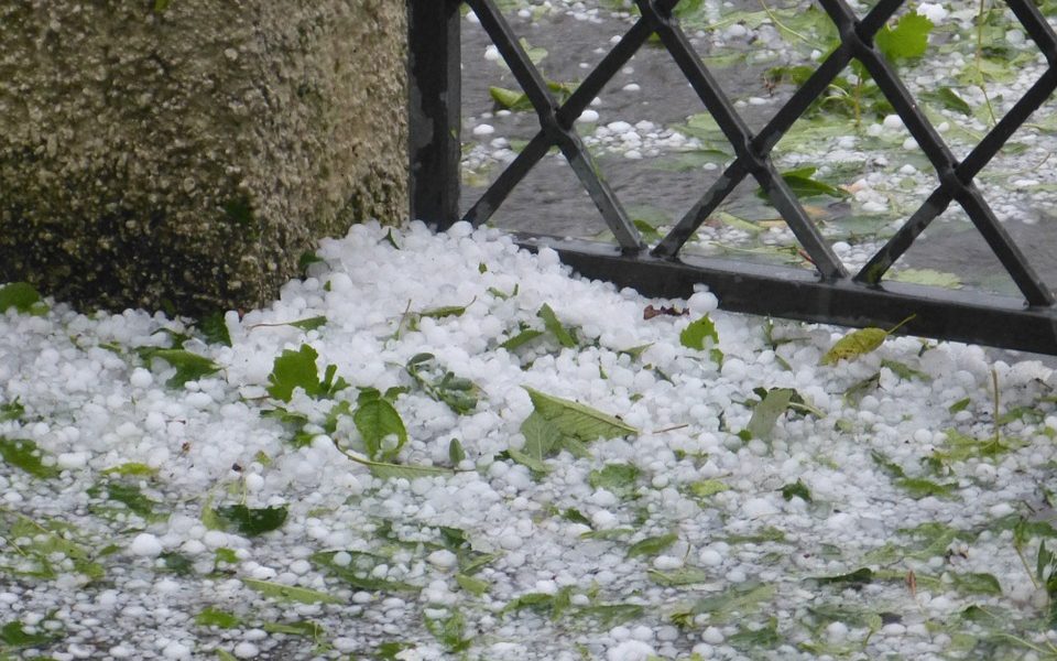 «Grandinata, raccolto devastato in 10 minuti». Sono ingenti i danni denunciati da Coldiretti