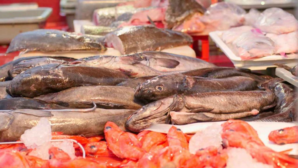 Banco del pesce