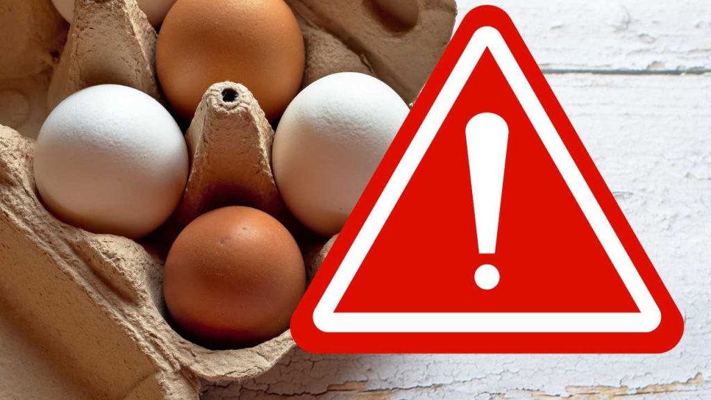 Confezione uova: richiamo alimentare
