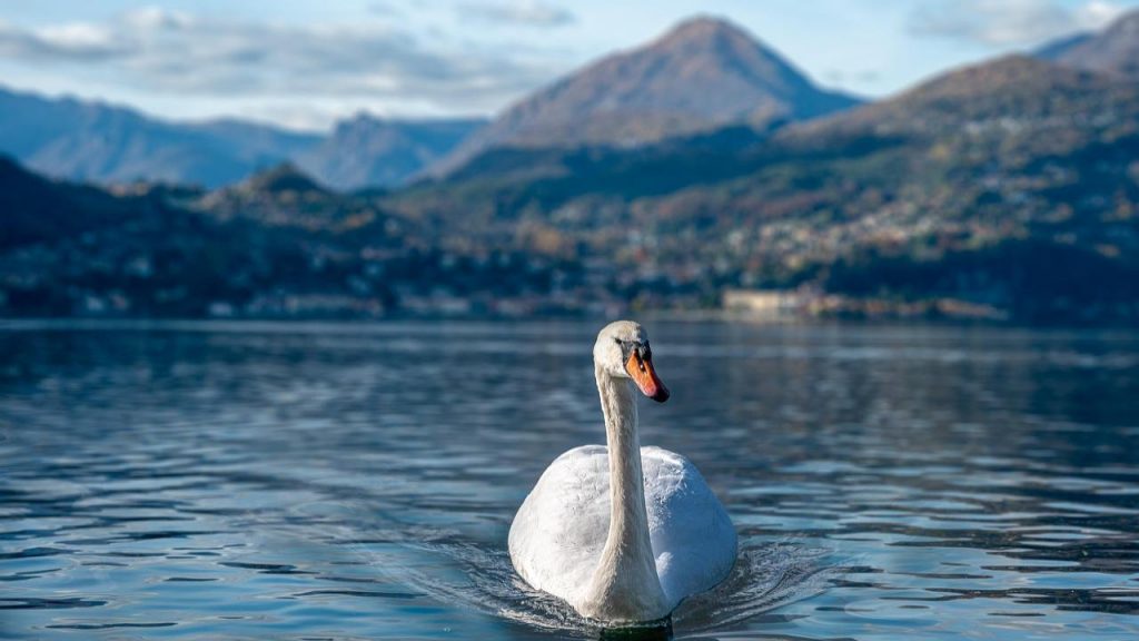 Lago di Como