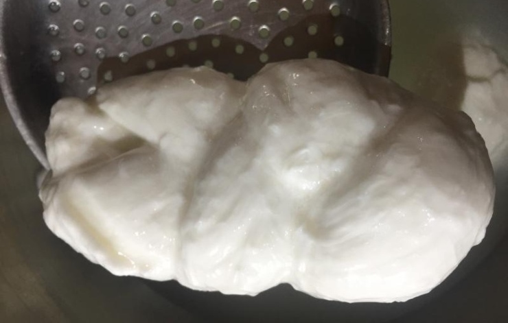 Mozzarella