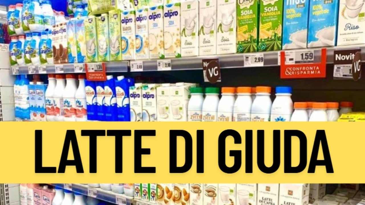 Latte di giuda, intossicazione alimentare
