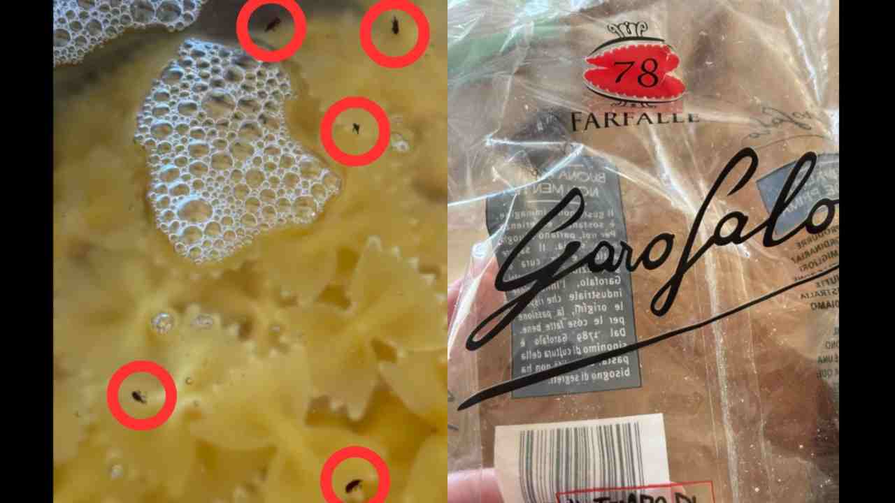 pasta a rischio