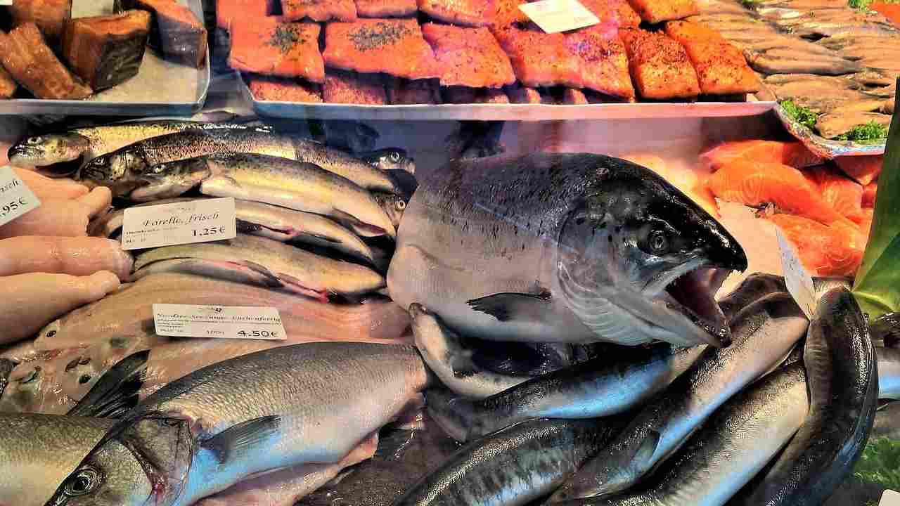 Pescheria - CorrierediComo.it