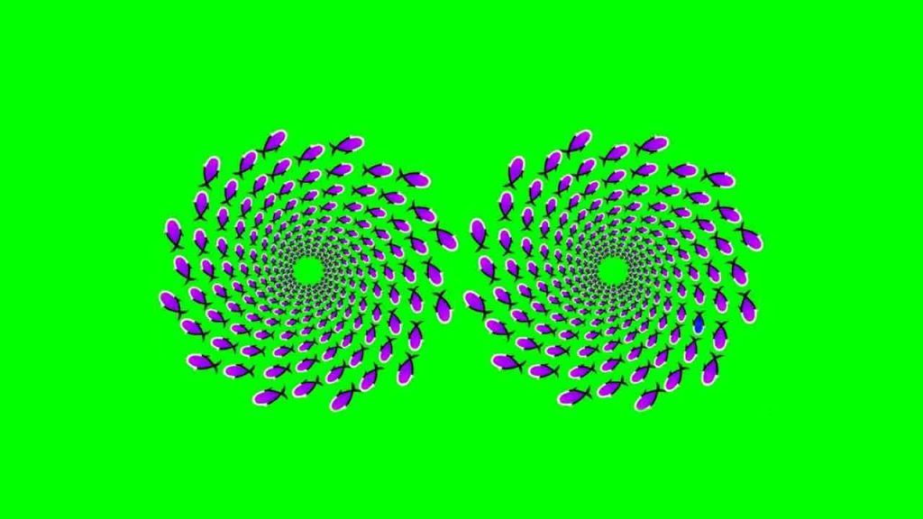 Test visivo