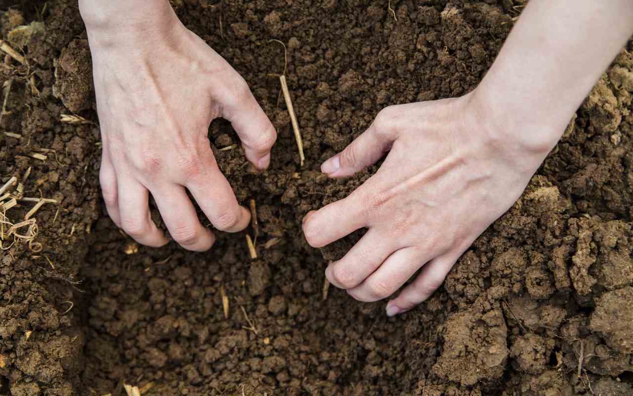 Mani di un uomo che scava nella terra