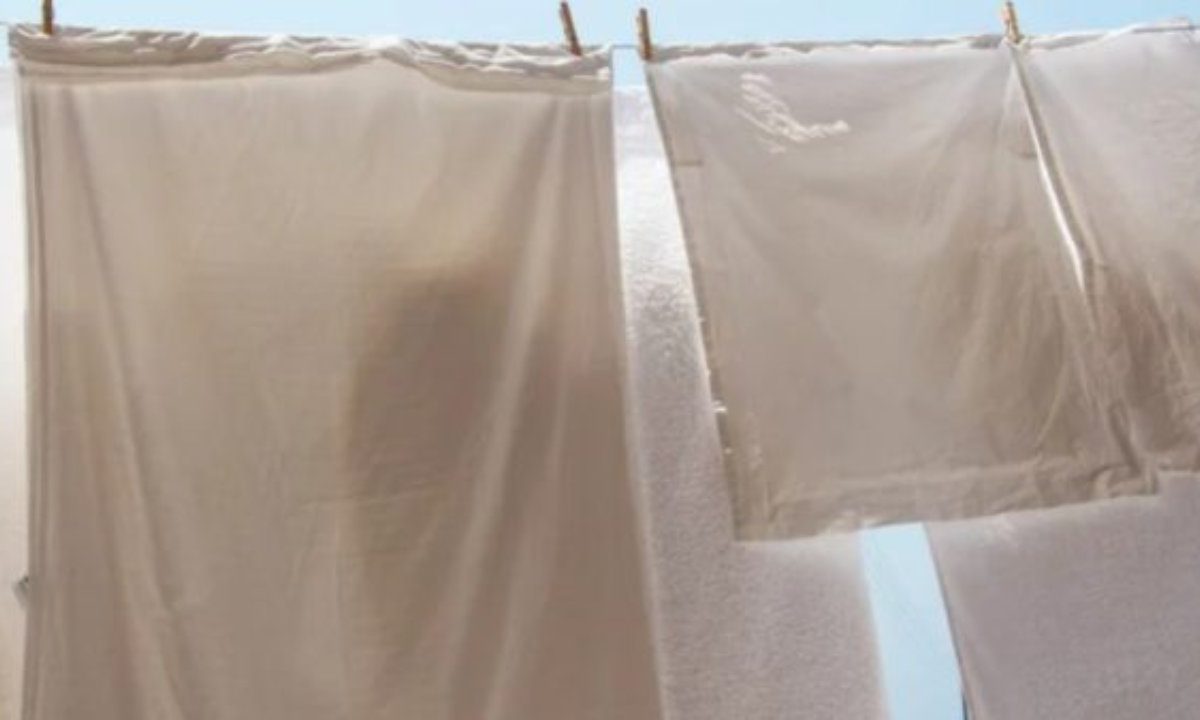 Federe e lenzuola, non lavarle mai a questa temperatura | È l’errore più comune di tutti: ecco i gradi corretti